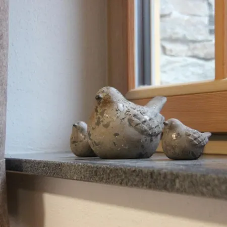 Appartement Dachstein West - Traumhafte Mit Garten Und Terrasse *